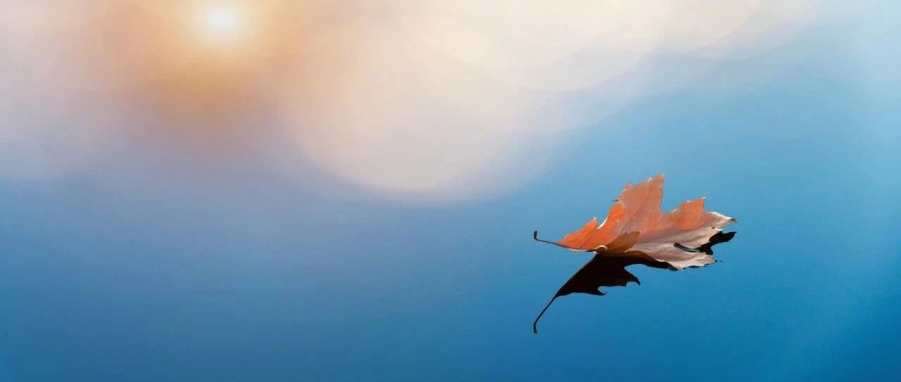 帕金森综合征≠帕金森病——一文理清帕金森综合征的鉴别诊断