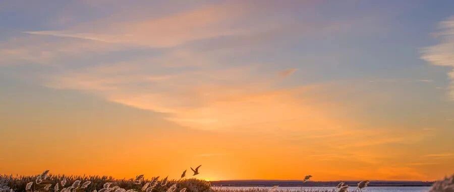 2个病例，全面解析延髓背外侧综合征，再也不怕记不住啦！