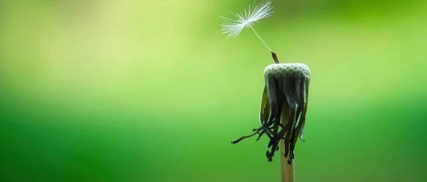 患者出现复发性失语、头痛和意识模糊，这个检查要想到……