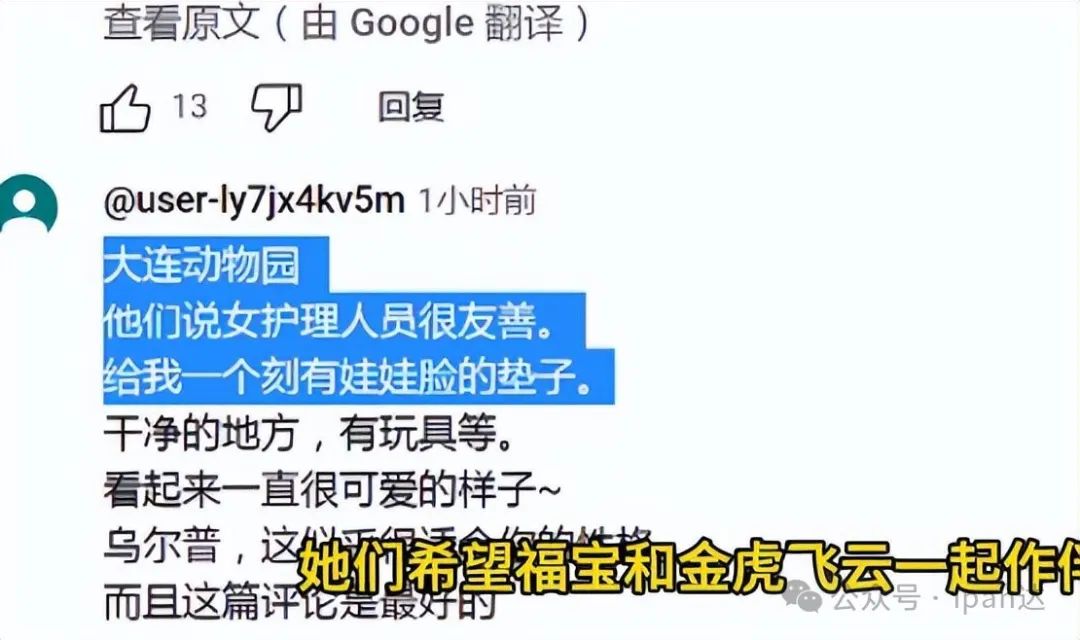 福宝连续来了好几个前滚翻