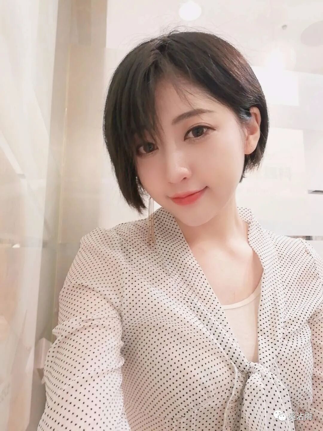 新人印象 上半年 奚沾雨 微信公众号文章阅读 Wemp