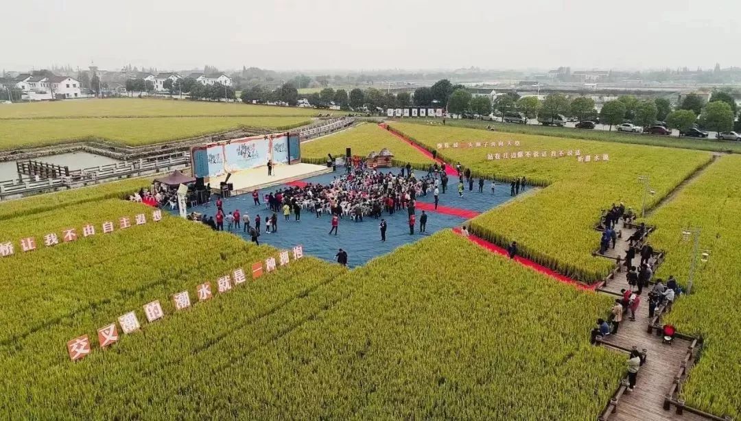 剛簽約！海寧要在這網紅景區新打造一個基地！市民有福了 旅遊 第11張