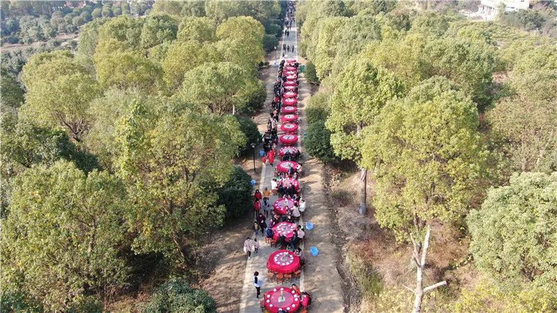 剛簽約！海寧要在這網紅景區新打造一個基地！市民有福了 旅遊 第12張