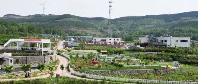 cover_image
