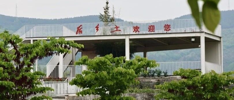 cover_image