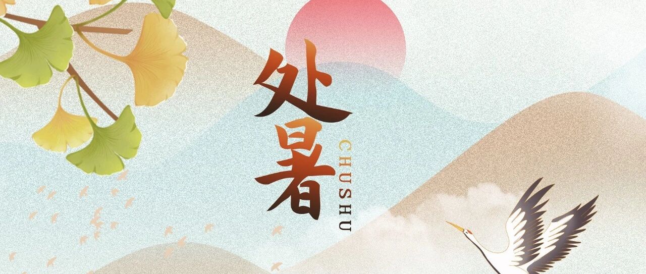 cover_image
