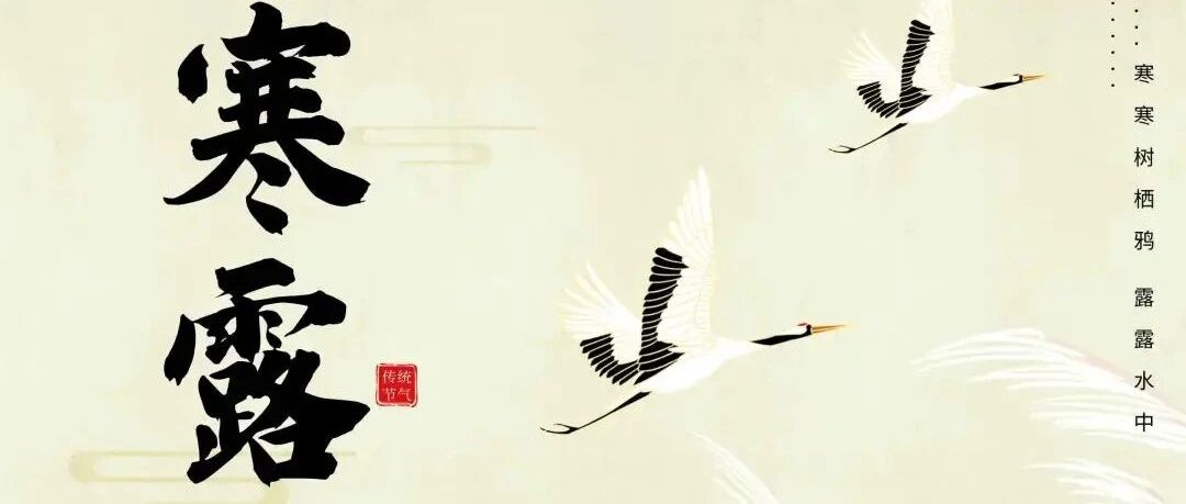 cover_image