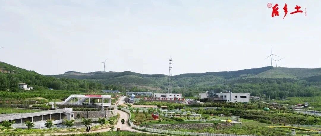 cover_image