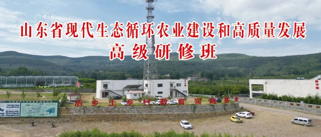 cover_image