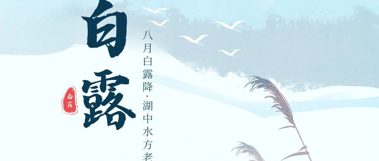 cover_image