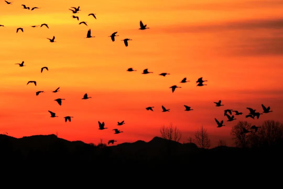 3月最佳旅行地 | 7元嗦粉、5元坐船、0元看花海，中国有的是好看又好吃的地方！