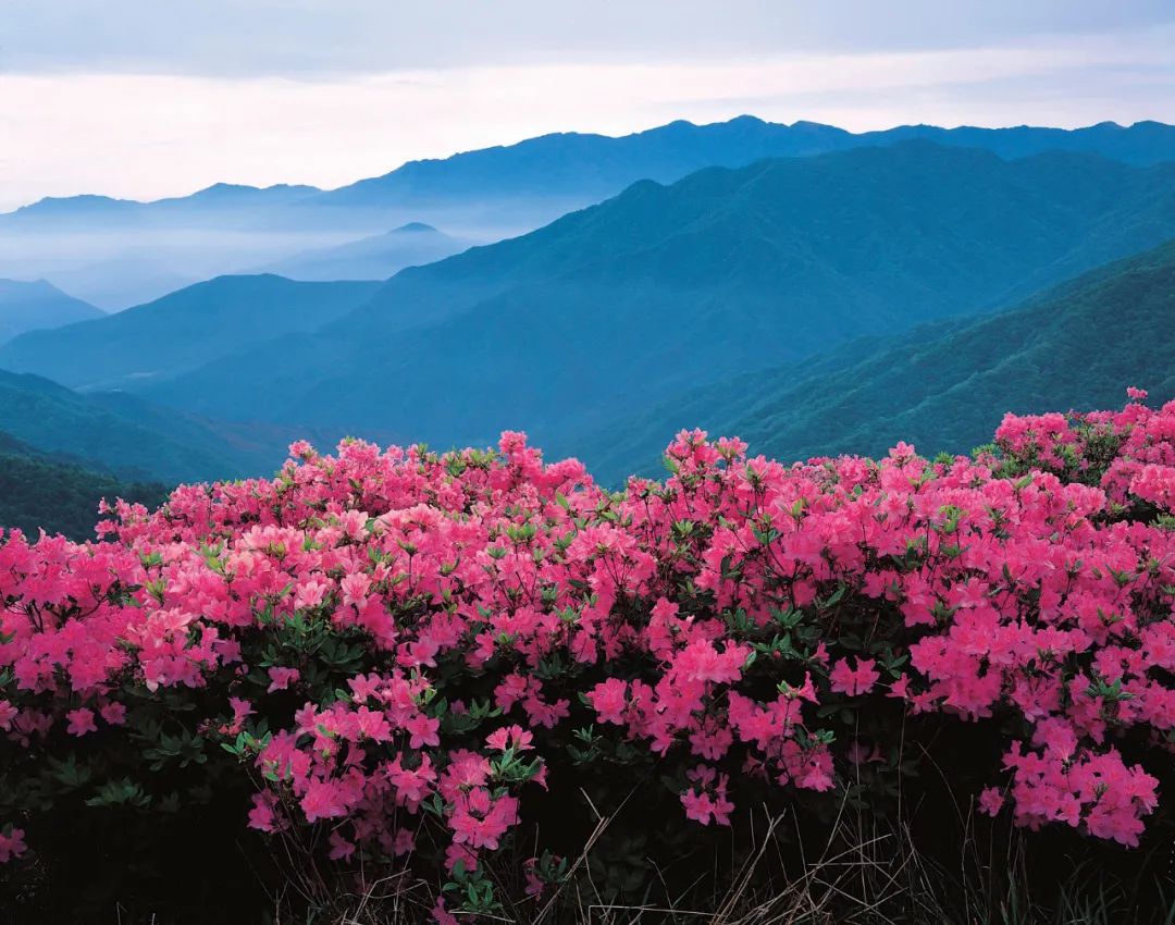 3月最佳旅行地 | 7元嗦粉、5元坐船、0元看花海，中国有的是好看又好吃的地方！