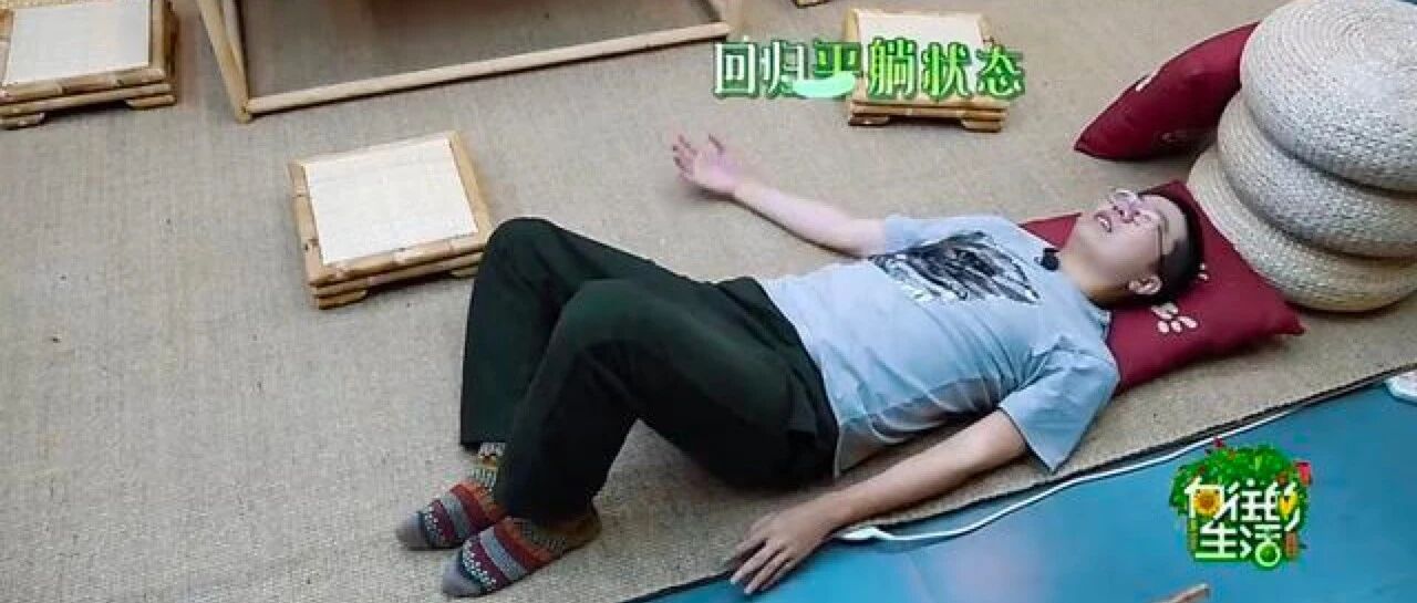 强烈建议恢复“折腾”明星的综艺