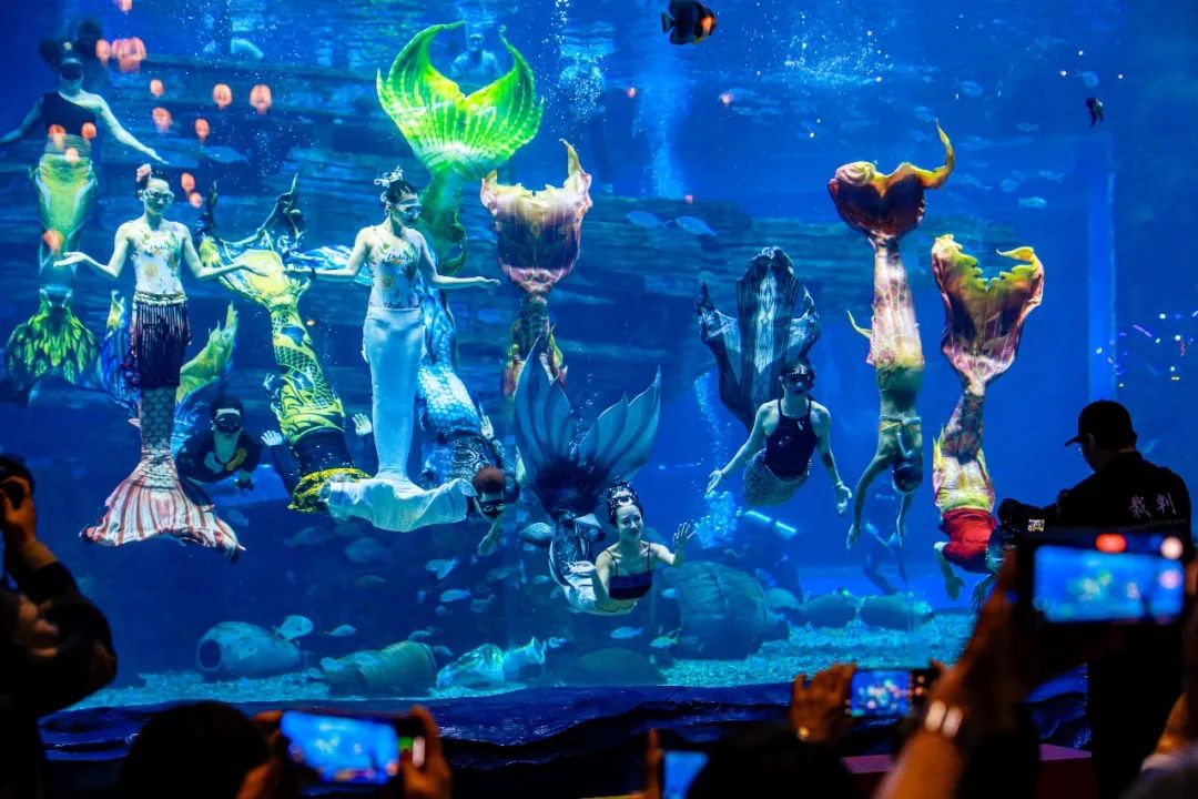 福州春节出行高速高峰迎来期间首个