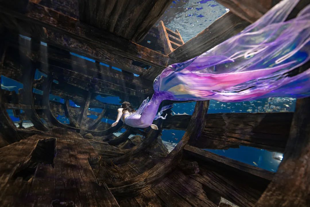 办委安功举徽区会 中信中会协同域分议成年年集团