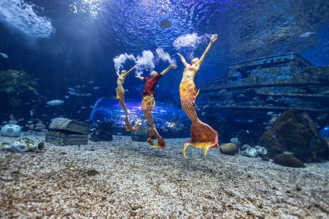 办委安功举徽区会 中信中会协同域分议成年年集团