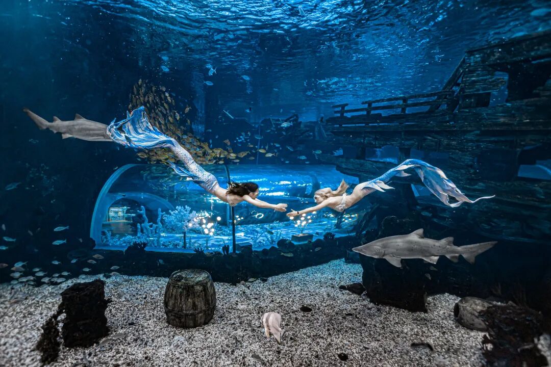 福州春节出行高速高峰迎来期间首个