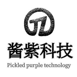 酱紫科技，助您在成功的路上走得更远！