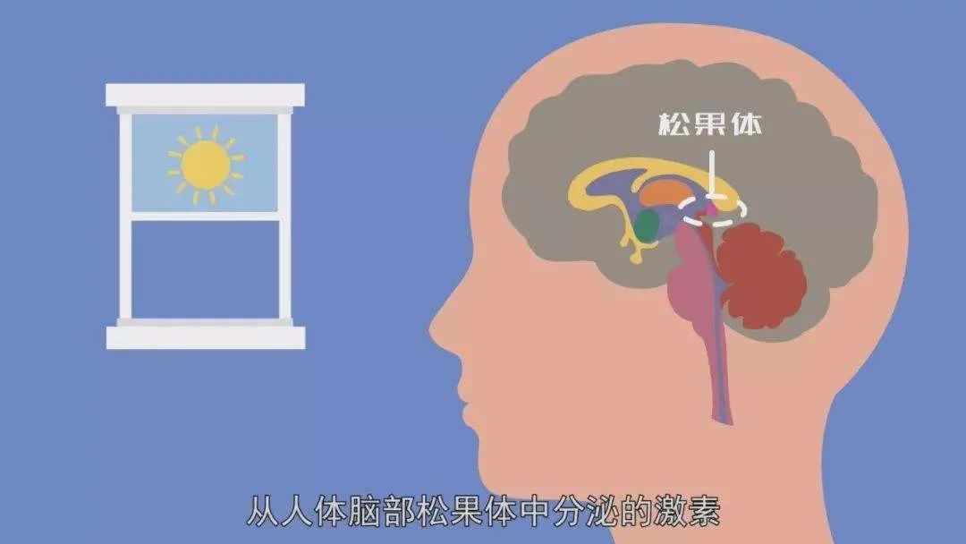 “助眠神器”六七八九一大堆，真的好用吗？(图4)