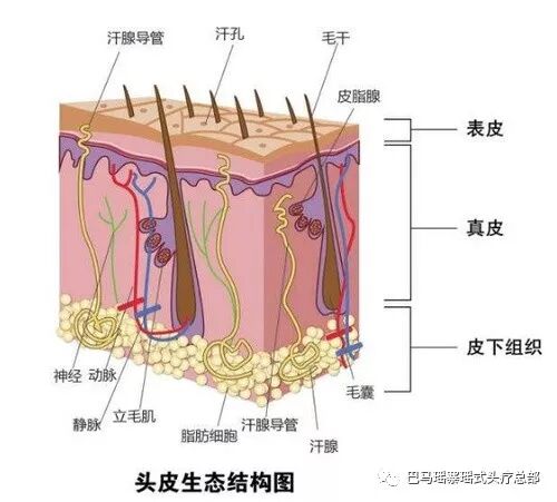 不要让头发阻挡你青春的脚步！！