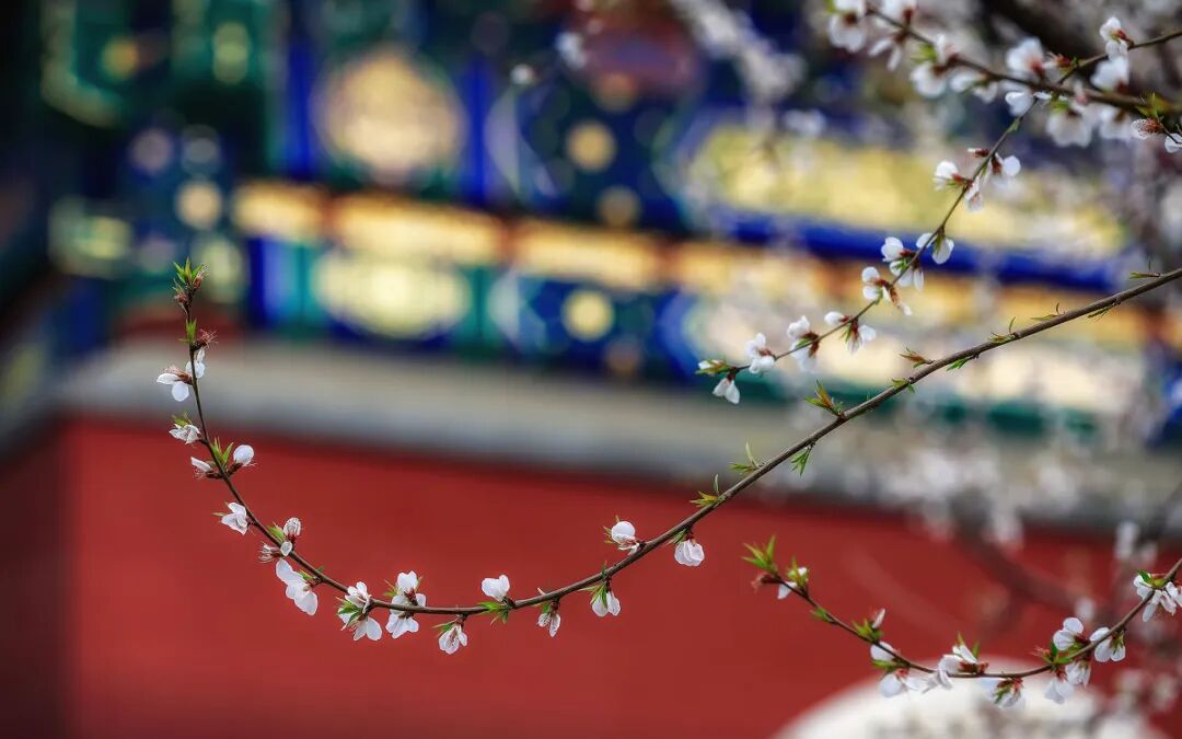 春季头部养生的重要性