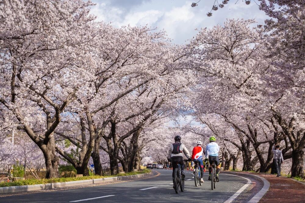 业界称日本旅游业或将受冲击,官方提醒国人“避免前往”：日本旅游雪上加霜？