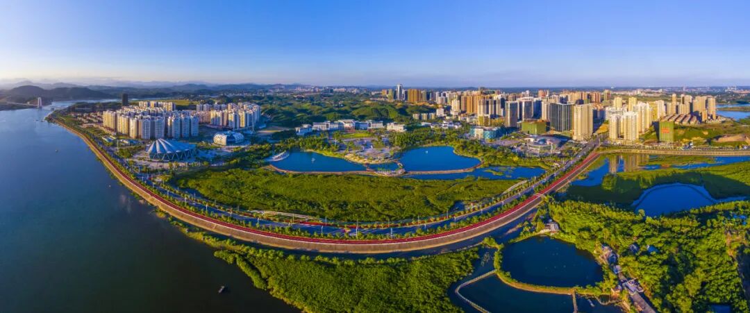 加强创新协同布局医疗康养广西防城港在行动