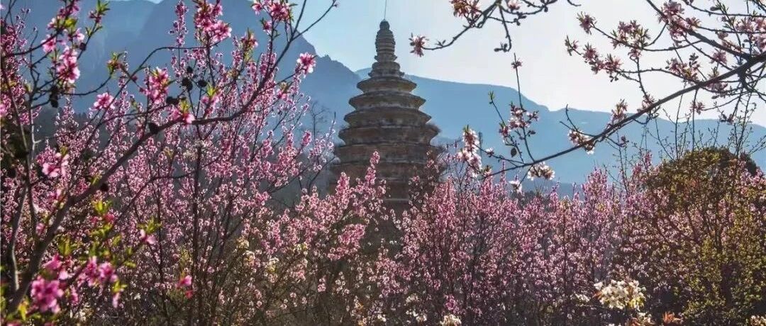 超出片！距郑1.5h，在这个宝藏目的地，赏尽春色！