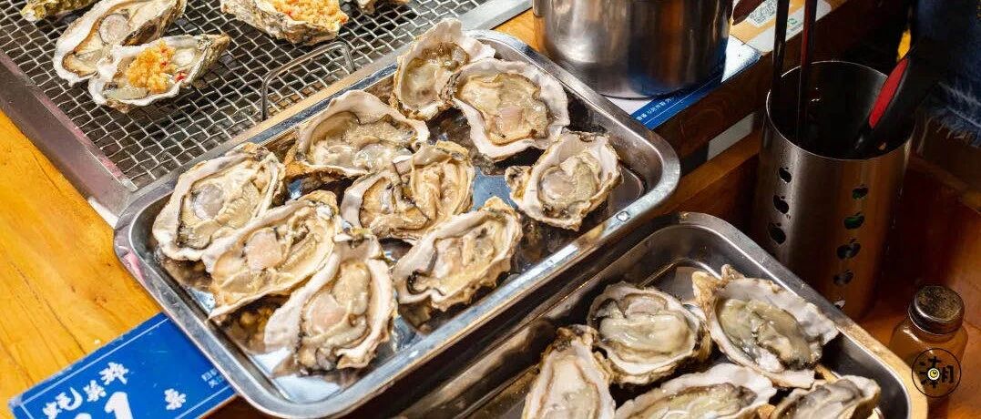 吃一盘它就回本！郑州这家网红自助，鲜到骨子里！