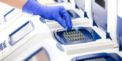 全球一片哗然！韩国沦陷、意大利告急、伊朗最危险、新西兰今天终于行动了…（组图） - 43