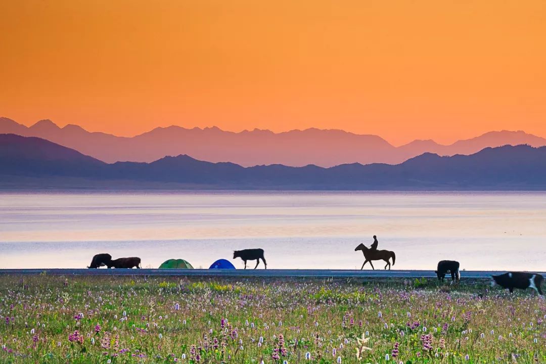 下一站，新疆。 旅遊 第18張