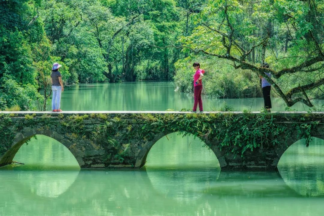 抬頭張家界，低頭九寨溝，貴州這座小城夏天去美爆了 旅遊 第9張