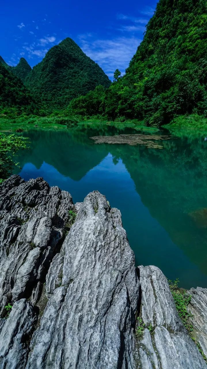 抬頭張家界，低頭九寨溝，貴州這座小城夏天去美爆了 旅遊 第5張