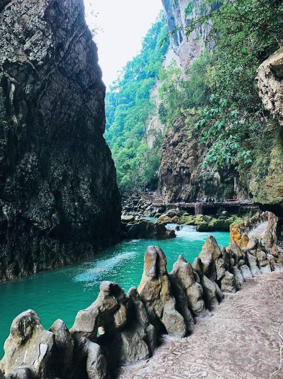 抬頭張家界，低頭九寨溝，貴州這座小城夏天去美爆了 旅遊 第24張