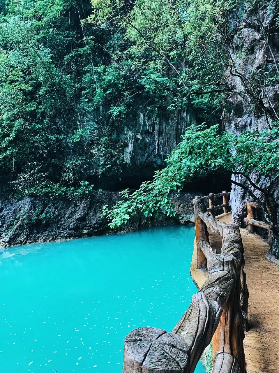 抬頭張家界，低頭九寨溝，貴州這座小城夏天去美爆了 旅遊 第25張