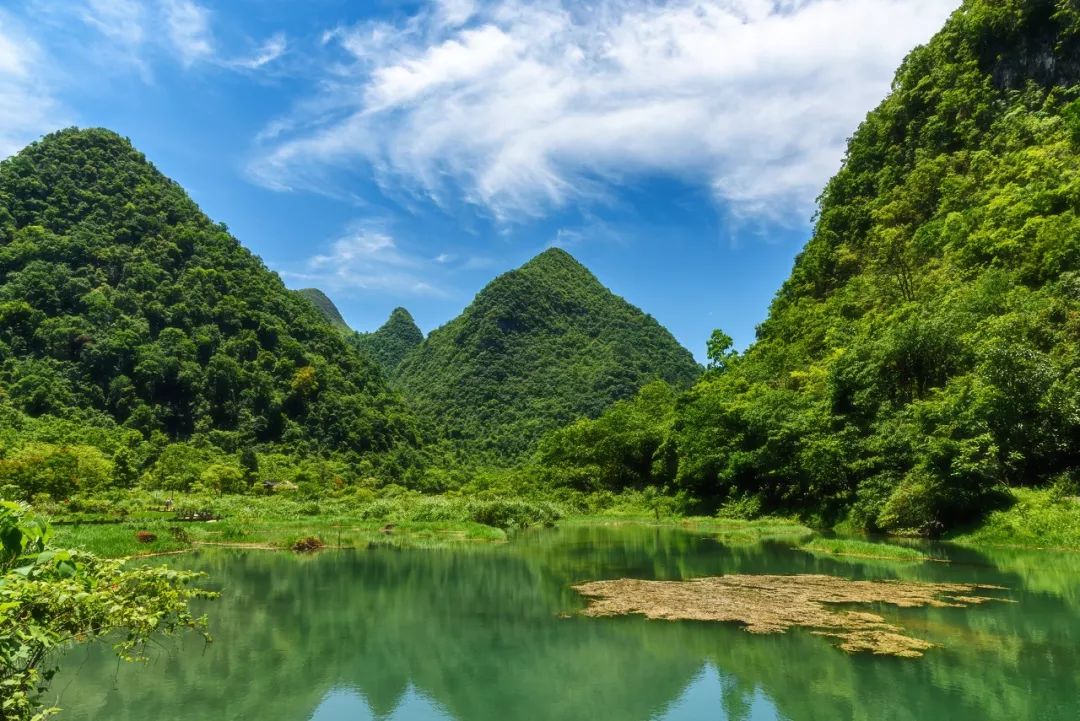 抬頭張家界，低頭九寨溝，貴州這座小城夏天去美爆了 旅遊 第31張