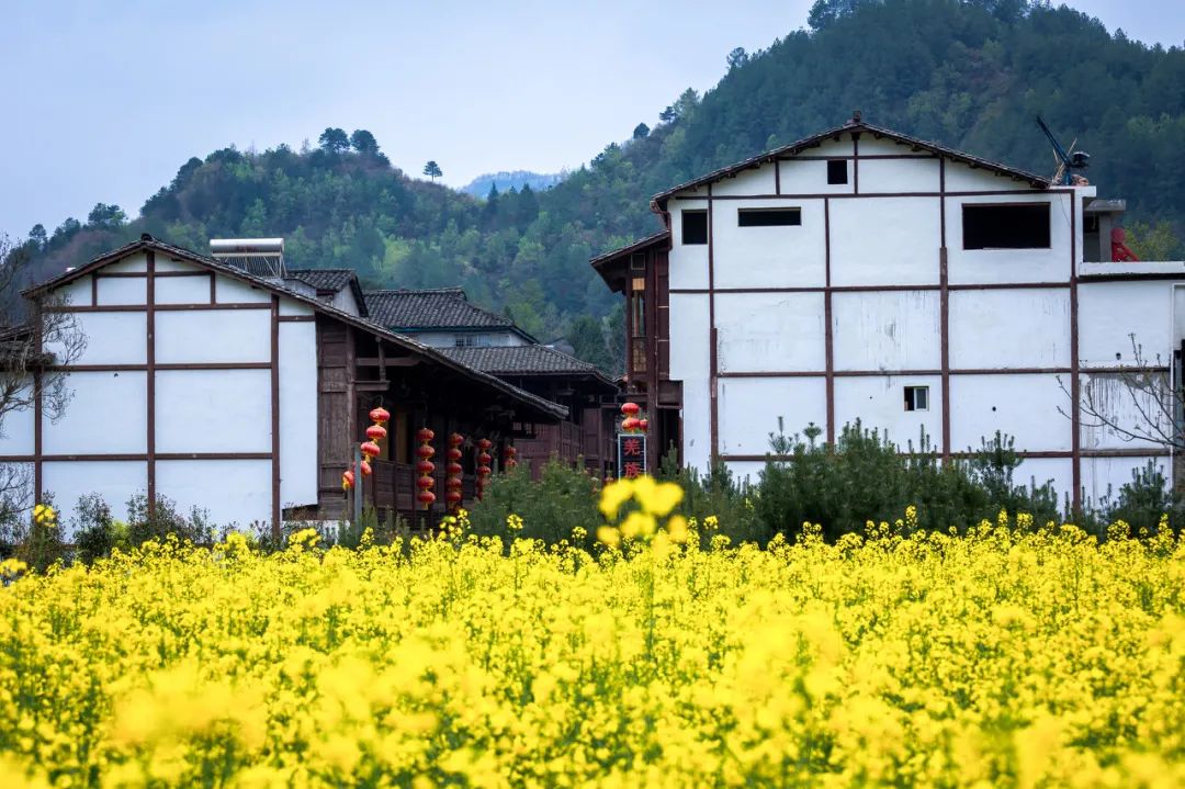 中國最傳奇古鎮，一腳踏三省，來了就不想離開！ 旅遊 第23張