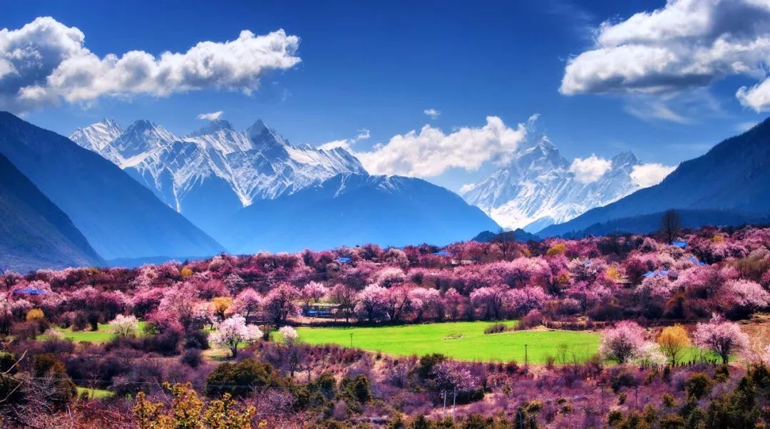 未來一年西藏旅行時間表：在最美的時間遇見你 旅遊 第11張