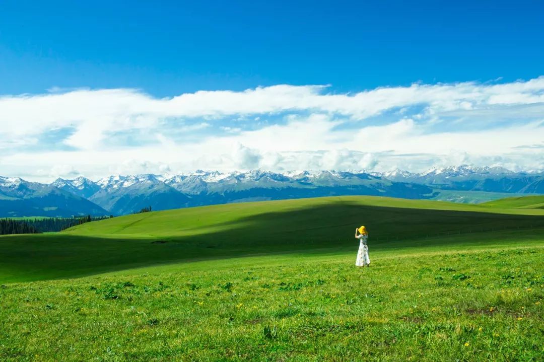 夏季新疆的美色，承包了你一全部夏天對旅行的幻想 旅遊 第24張