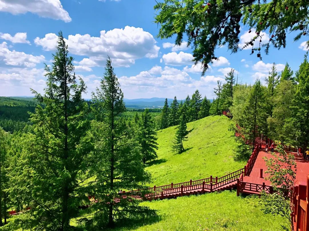 8月，怎能不去一次呼倫貝爾 旅遊 第11張