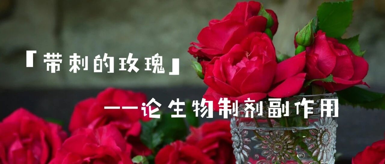 生物制剂这朵「带刺的玫瑰」| 一页手册·协和八