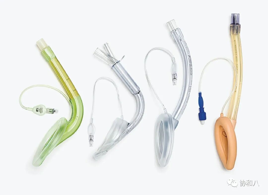 为什么要用喉罩ABCD的A（airway）-「喉罩」使用指南 ｜_https://www.jmylbn.com_新闻资讯_第2张