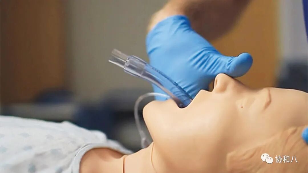 为什么要用喉罩ABCD的A（airway）-「喉罩」使用指南 ｜_https://www.jmylbn.com_新闻资讯_第6张