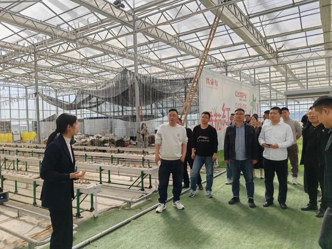 好青年代表先后到临邑县丰森农业,凯盛浩丰,佰福康家庭农场,临南镇