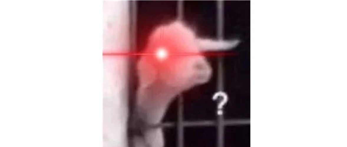 “20岁，想找份工作，我是2022国际奥林匹克奖杯获得者……”