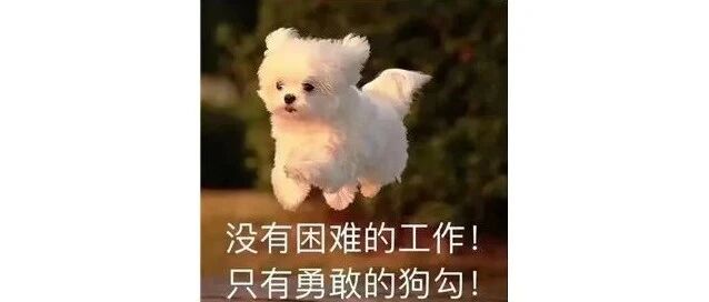 “你查我？我还查你呢！”