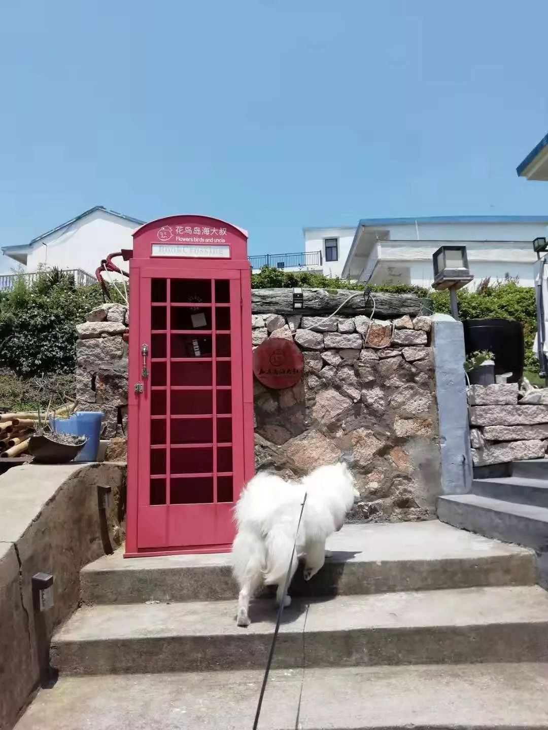 帶著狗狗去旅行，也能有意外的驚喜 寵物 第2張