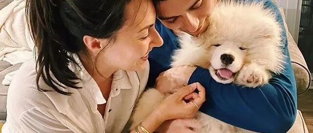 自从养了萨摩，夫妻俩每天抢着抱，狗砸很无奈：放我下来，我有脚！