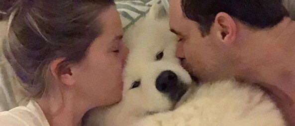 铲屎官总喜欢跟萨摩各种亲亲，狗砸一脸无奈：别爱我，没结果……