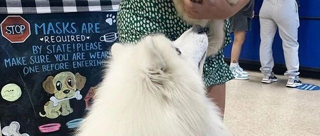 主人带萨摩逛街时遇到一只小二哈，本以为主人只是抱一下，结果…